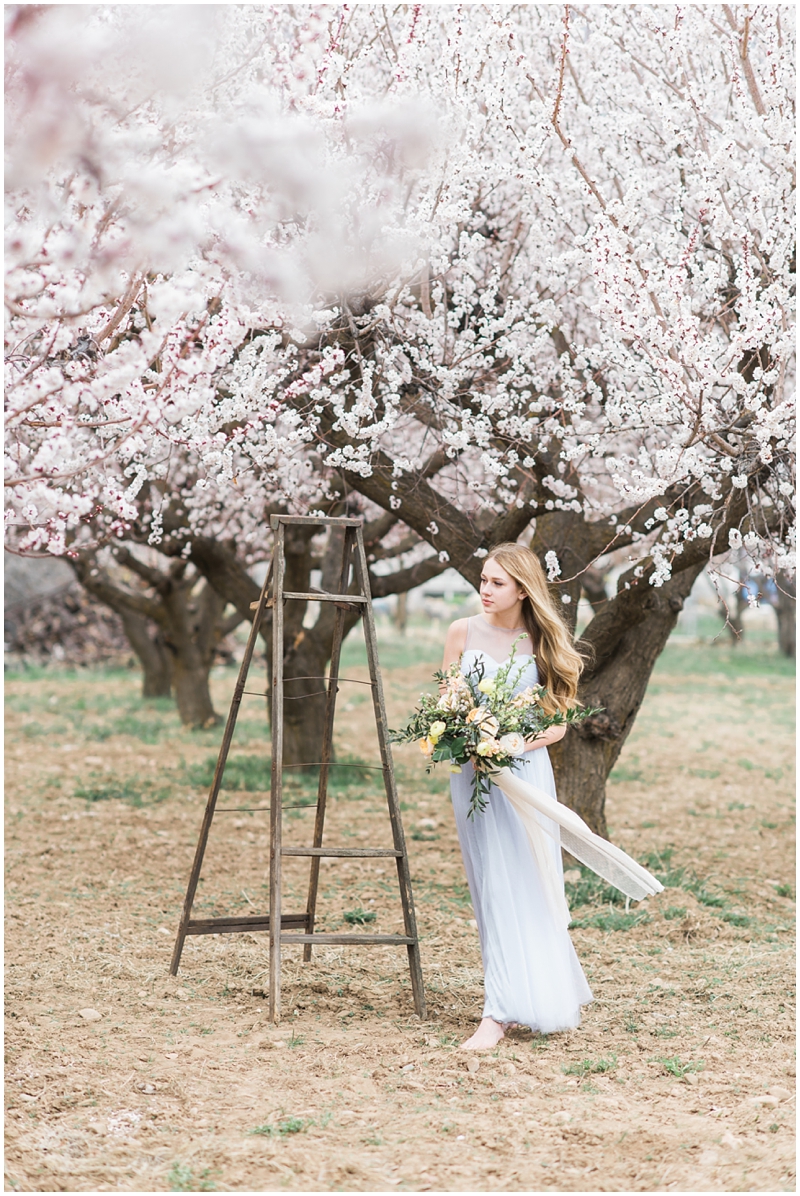 spring bridals, utah photographer, wedding photography, apricot blossoms, orchard in bloom, spring bridals, www.kristinacurtisphotography.com