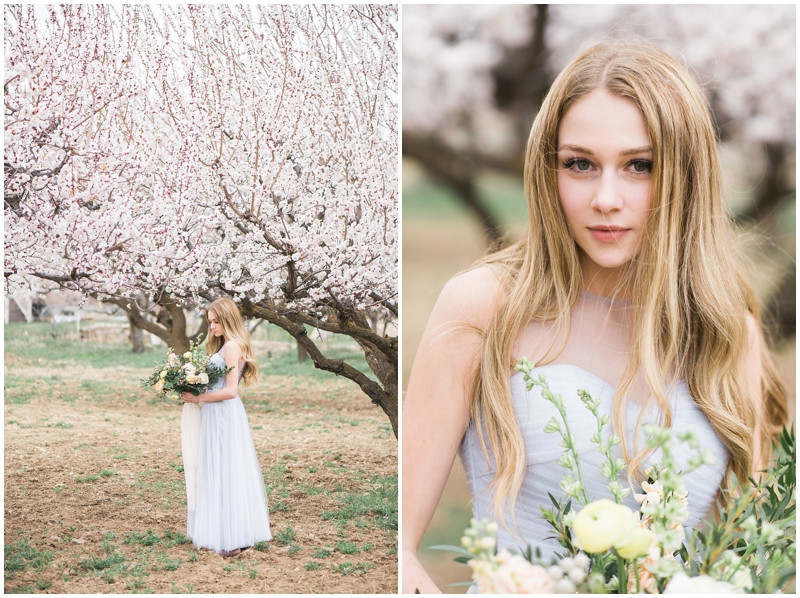 spring bridals, utah photographer, wedding photography, apricot blossoms, orchard in bloom, spring bridals, www.kristinacurtisphotography.com