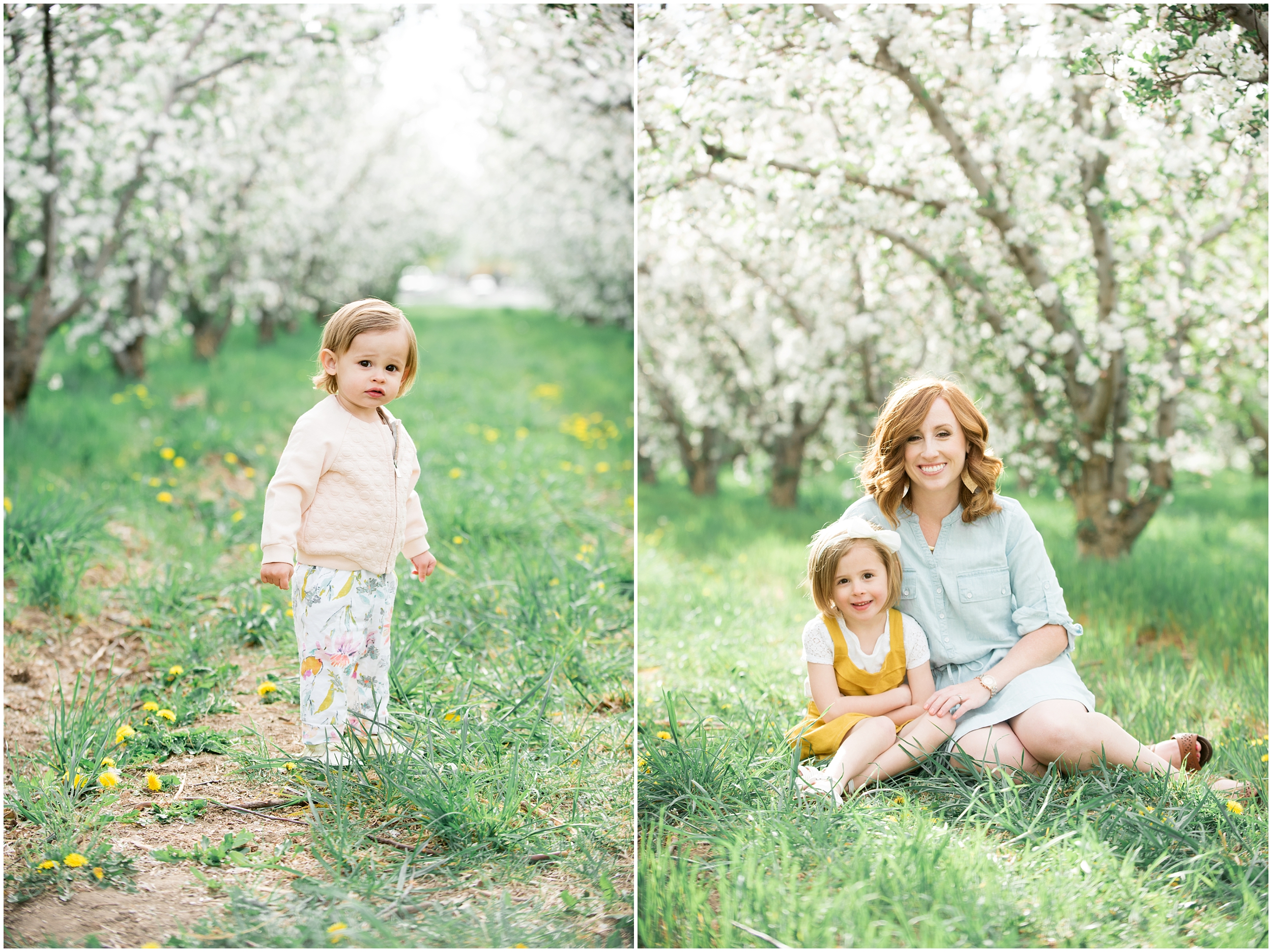 Family photographer, spring blossoms, play blue and yellow, orchard photos, Utah wedding photographers, Utah wedding photographer, Utah wedding photography, Utah county wedding photography, Utah county wedding photographer, salt lake city photographers, salt lake city wedding photography, salt lake photographers, salt lake city photographers, photographers in Utah, Utah photography, photography Utah, photographer Utah, Kristina Curtis photography, Kristina Curtis Photographer, www.kristinacurtisphotography.com