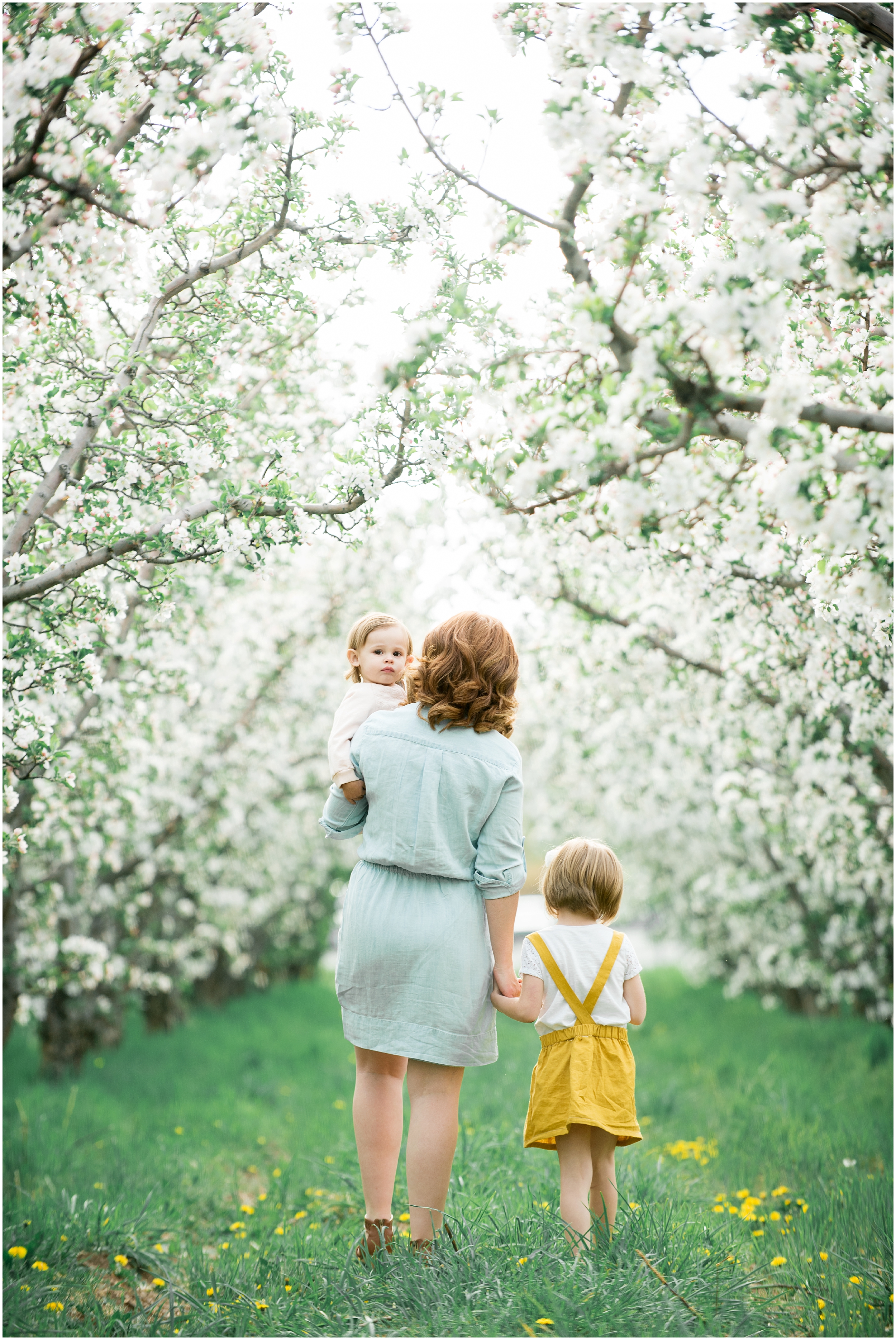 Family photographer, spring blossoms, play blue and yellow, orchard photos, Utah wedding photographers, Utah wedding photographer, Utah wedding photography, Utah county wedding photography, Utah county wedding photographer, salt lake city photographers, salt lake city wedding photography, salt lake photographers, salt lake city photographers, photographers in Utah, Utah photography, photography Utah, photographer Utah, Kristina Curtis photography, Kristina Curtis Photographer, www.kristinacurtisphotography.com