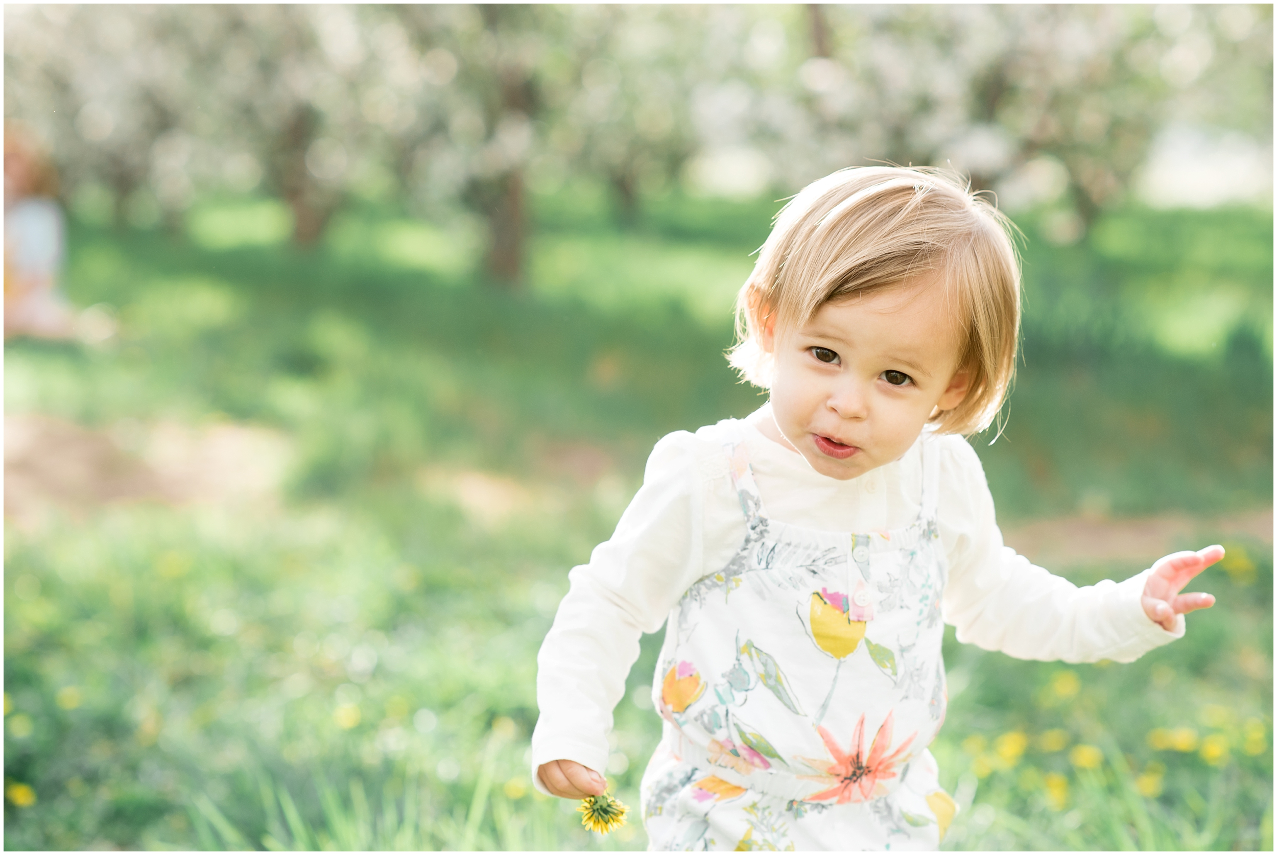 Family photographer, spring blossoms, play blue and yellow, orchard photos, Utah wedding photographers, Utah wedding photographer, Utah wedding photography, Utah county wedding photography, Utah county wedding photographer, salt lake city photographers, salt lake city wedding photography, salt lake photographers, salt lake city photographers, photographers in Utah, Utah photography, photography Utah, photographer Utah, Kristina Curtis photography, Kristina Curtis Photographer, www.kristinacurtisphotography.com