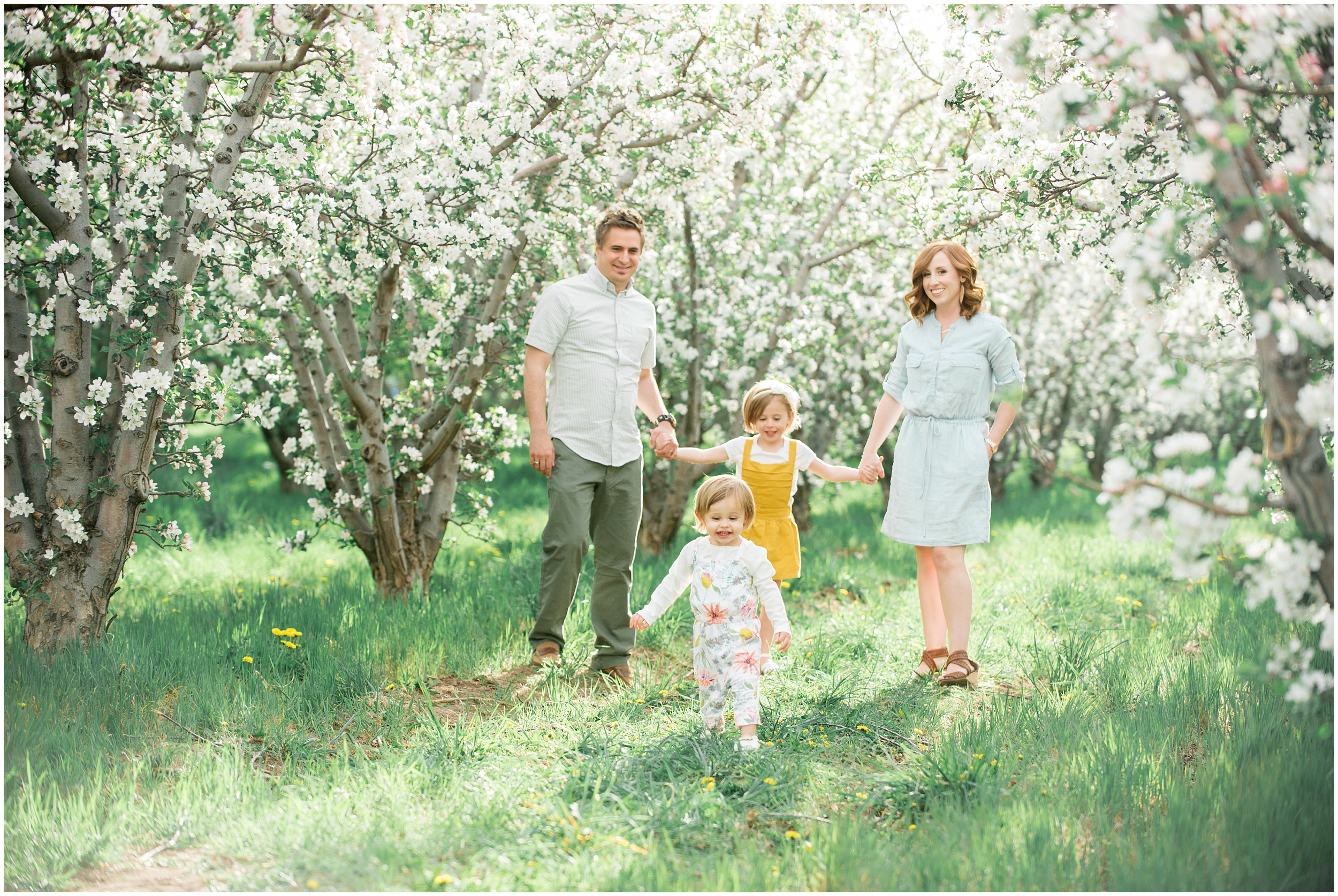 Family photographer, spring blossoms, play blue and yellow, orchard photos, Utah wedding photographers, Utah wedding photographer, Utah wedding photography, Utah county wedding photography, Utah county wedding photographer, salt lake city photographers, salt lake city wedding photography, salt lake photographers, salt lake city photographers, photographers in Utah, Utah photography, photography Utah, photographer Utah, Kristina Curtis photography, Kristina Curtis Photographer, www.kristinacurtisphotography.com