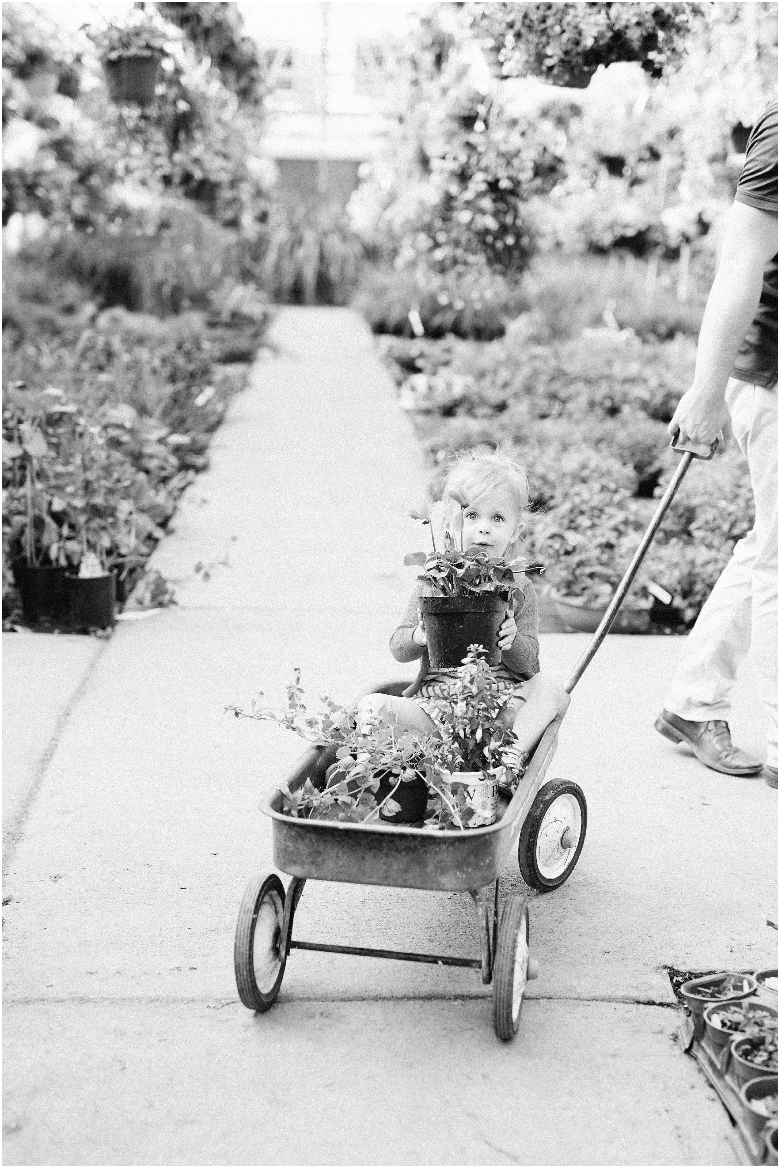 Lifestyle photographer, greenhouse family photos, family photos, coral and navy, Utah green house, greenhouse photos, Utah wedding photographers, Utah wedding photographer, Utah wedding photography, Utah county wedding photography, Utah county wedding photographer, salt lake city photographers, salt lake city wedding photography, salt lake photographers, salt lake city photographers, photographers in Utah, Utah photography, photography Utah, photographer Utah, Kristina Curtis photography, Kristina Curtis Photographer, www.kristinacurtisphotography.com