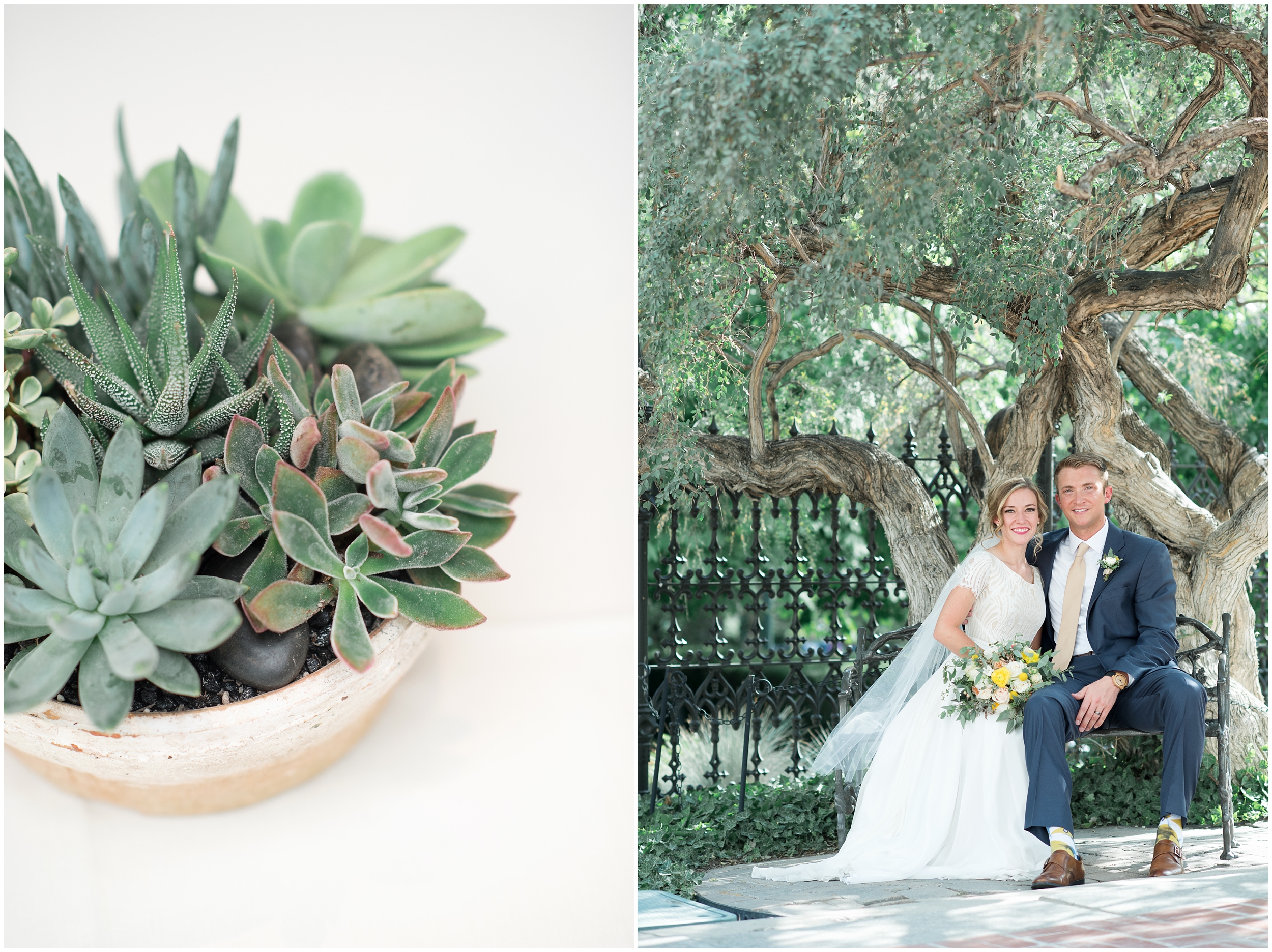 Cactus and tropical, spring wedding, cream dress, navy wedding suit, pale floras’, salt lake temple wedding, Utah wedding photographers, Utah wedding photographer, Utah wedding photography, Utah county wedding photography, Utah county wedding photographer, salt lake city photographers, salt lake city wedding photography, salt lake photographers, salt lake city photographers, photographers in Utah, Utah photography, photography Utah, photographer Utah, Kristina Curtis photography, Kristina Curtis Photographer, www.kristinacurtisphotography.com