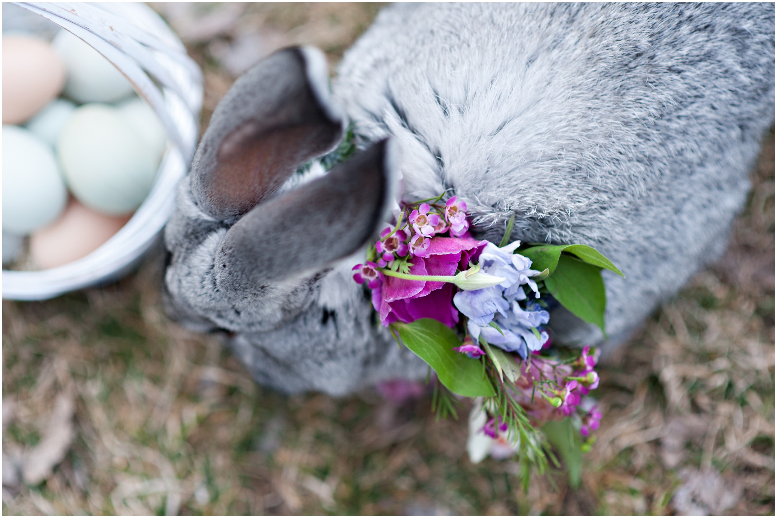 Spring bridal, bunny halo, floral halo, spring blooms, Calie rose flowers, whimsical bridals, Easter bunny, Utah wedding photographers, Utah wedding photographer, Utah wedding photography, Utah county wedding photography, Utah county wedding photographer, salt lake city photographers, salt lake city wedding photography, salt lake photographers, salt lake city photographers, photographers in Utah, Utah photography, photography Utah, photographer Utah, Kristina Curtis photography, Kristina Curtis Photographer, www.kristinacurtisphotography.com