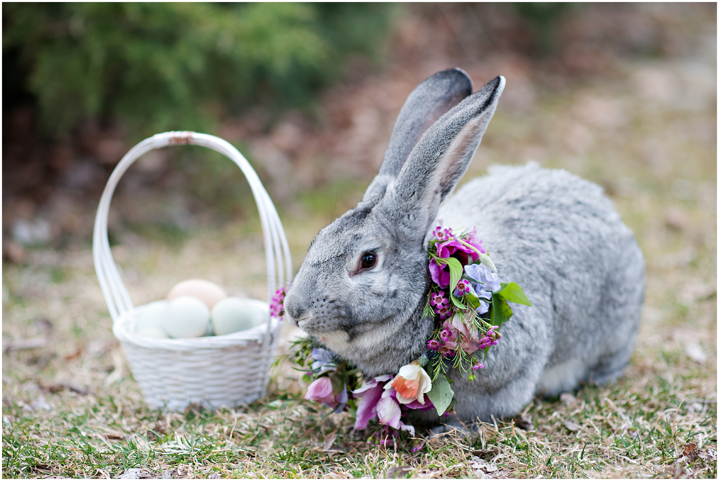 Spring bridal, bunny halo, floral halo, spring blooms, Calie rose flowers, whimsical bridals, Easter bunny, Utah wedding photographers, Utah wedding photographer, Utah wedding photography, Utah county wedding photography, Utah county wedding photographer, salt lake city photographers, salt lake city wedding photography, salt lake photographers, salt lake city photographers, photographers in Utah, Utah photography, photography Utah, photographer Utah, Kristina Curtis photography, Kristina Curtis Photographer, www.kristinacurtisphotography.com