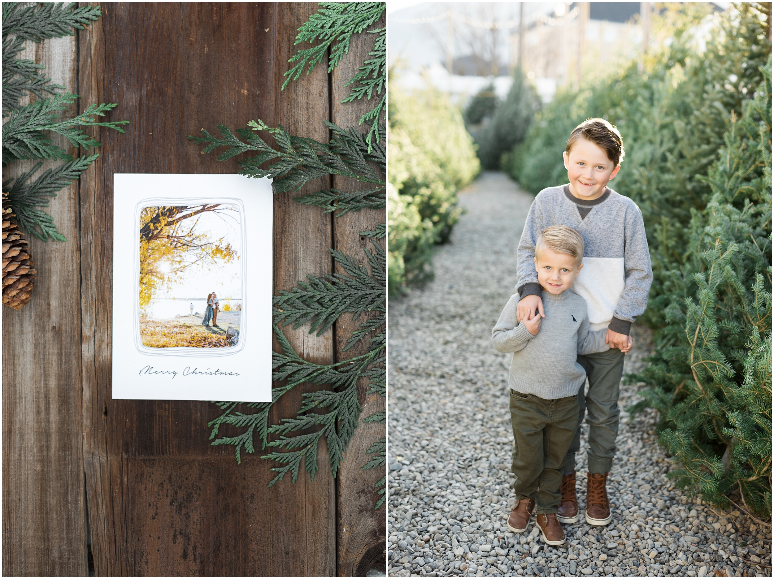 prodigitalphotos, christmas cards, holiday cards, kristina curtis photography