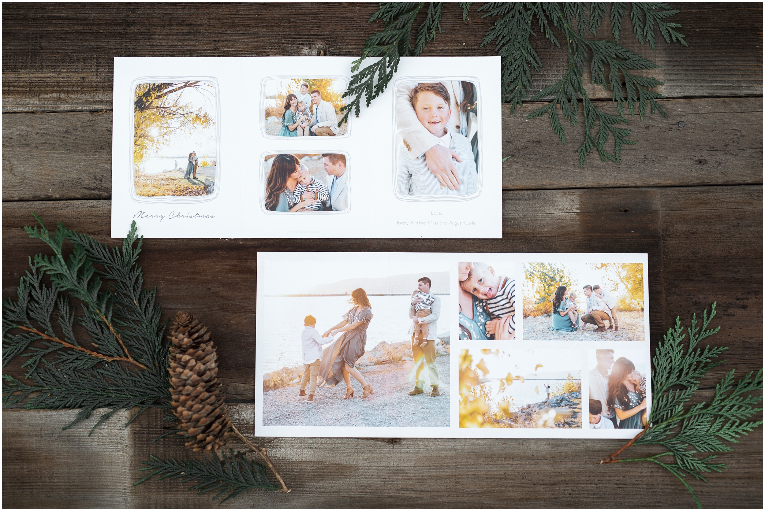 prodigitalphotos, christmas cards, holiday cards, kristina curtis photography