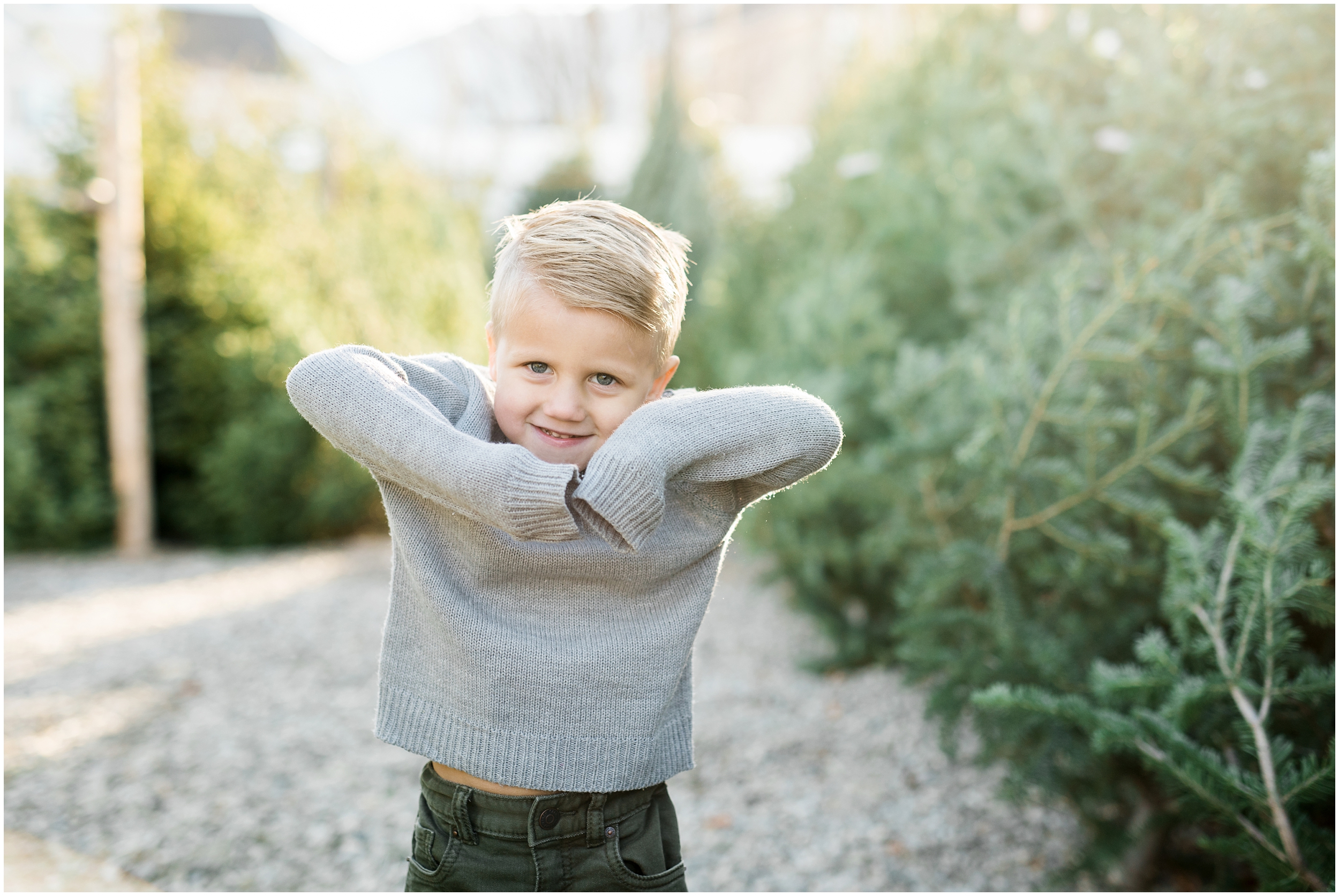 prodigitalphotos, christmas cards, holiday cards, kristina curtis photography, tree lot, utah photographer, child photographer, family photographer