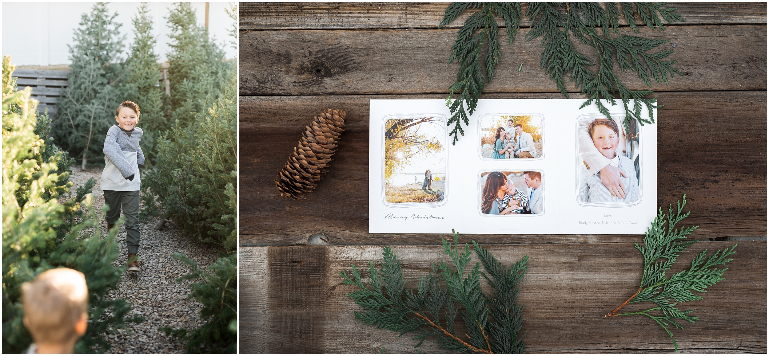 prodigitalphotos, christmas cards, holiday cards, kristina curtis photography, tree lot, utah photographer, child photographer, family photographer