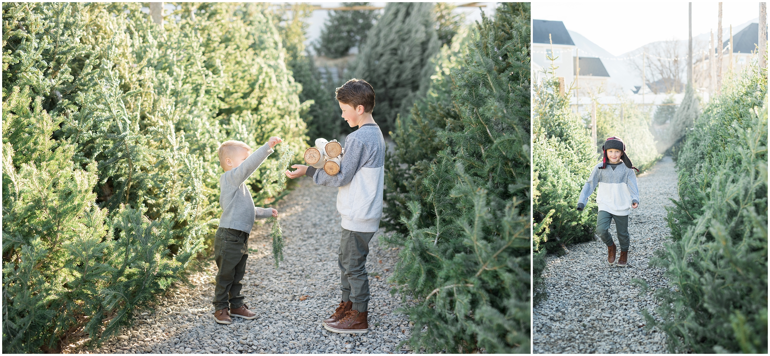 prodigitalphotos, christmas cards, holiday cards, kristina curtis photography, tree lot, utah photographer, child photographer, family photographer