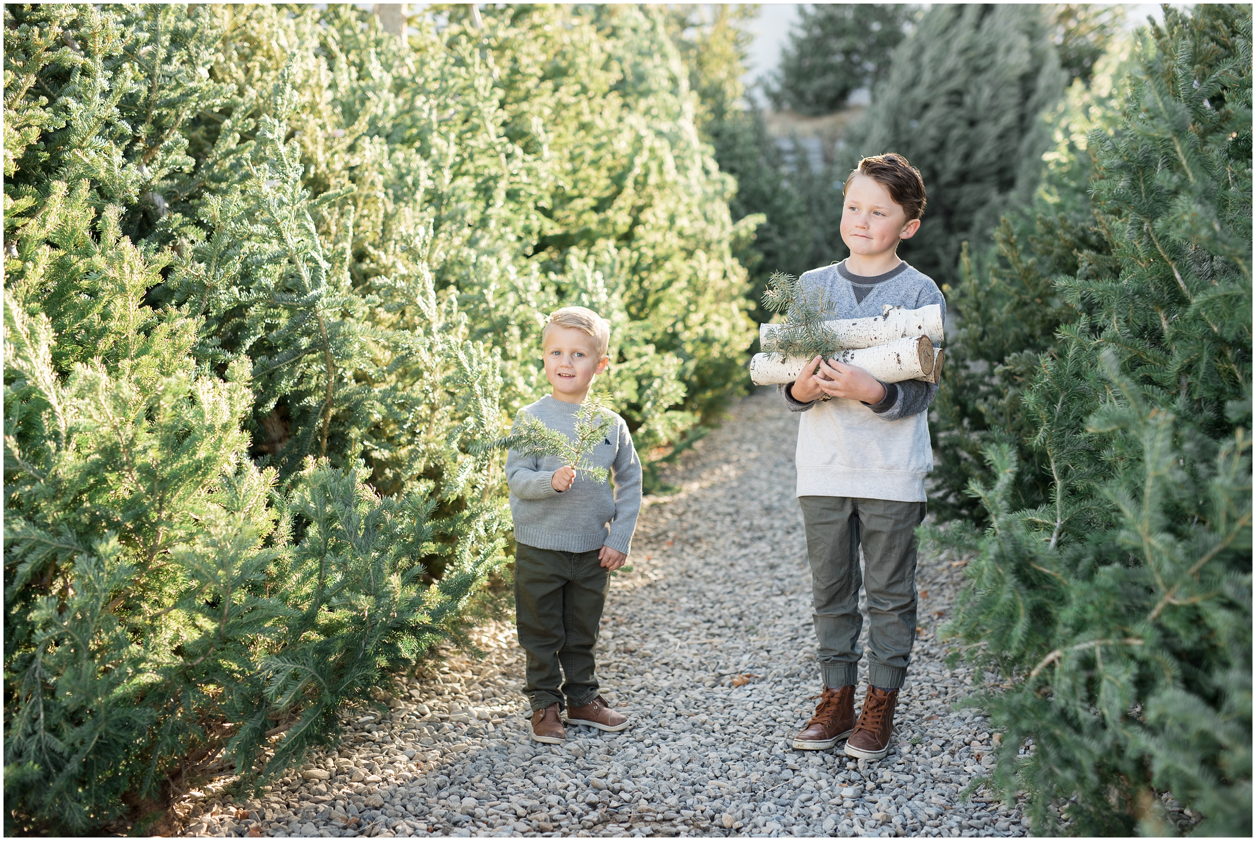 prodigitalphotos, christmas cards, holiday cards, kristina curtis photography, tree lot, utah photographer, child photographer, family photographer