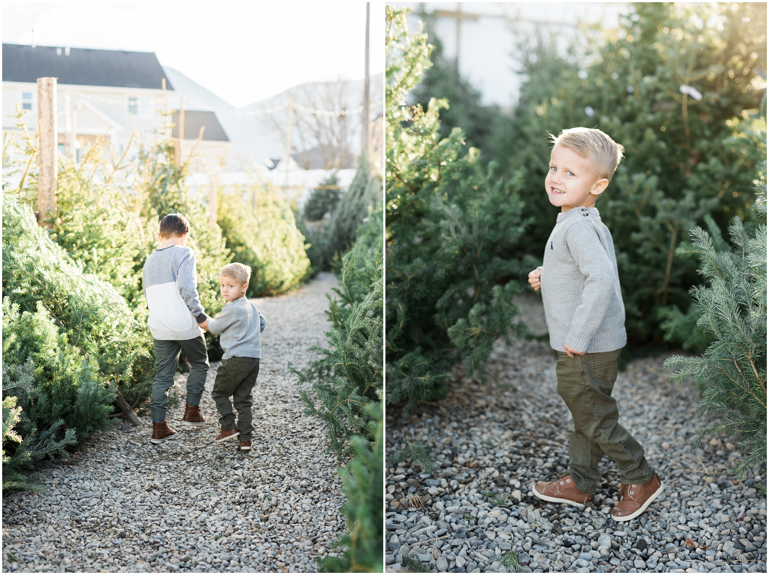 prodigitalphotos, christmas cards, holiday cards, kristina curtis photography, tree lot, utah photographer, child photographer, family photographer